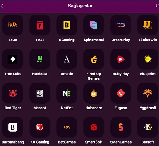 Diğer sağlayıcılar Aşağı kaydırılmış Sağlayıcılar sayfasında TaDa ve FAZI satırından başlayarak Barbarabang, KA Gaming, BetGames, SmartSoft, 5MenGames ve Betsoft ikonlarına iniliyor